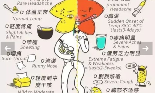 月经前一周内能喝中药吗女性-月经前一周内能喝中药吗-专业月经前一周内能喝中药吗女平台-月经前喝中药好还是月经后喝好
